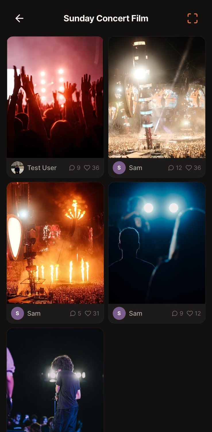 Album grid